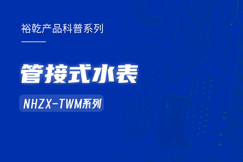管接式水表NHZX-TWM系列：解析其在能耗監(jiān)測系統(tǒng)中的關鍵作用！
